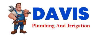 Trusted plumber in PARADIS